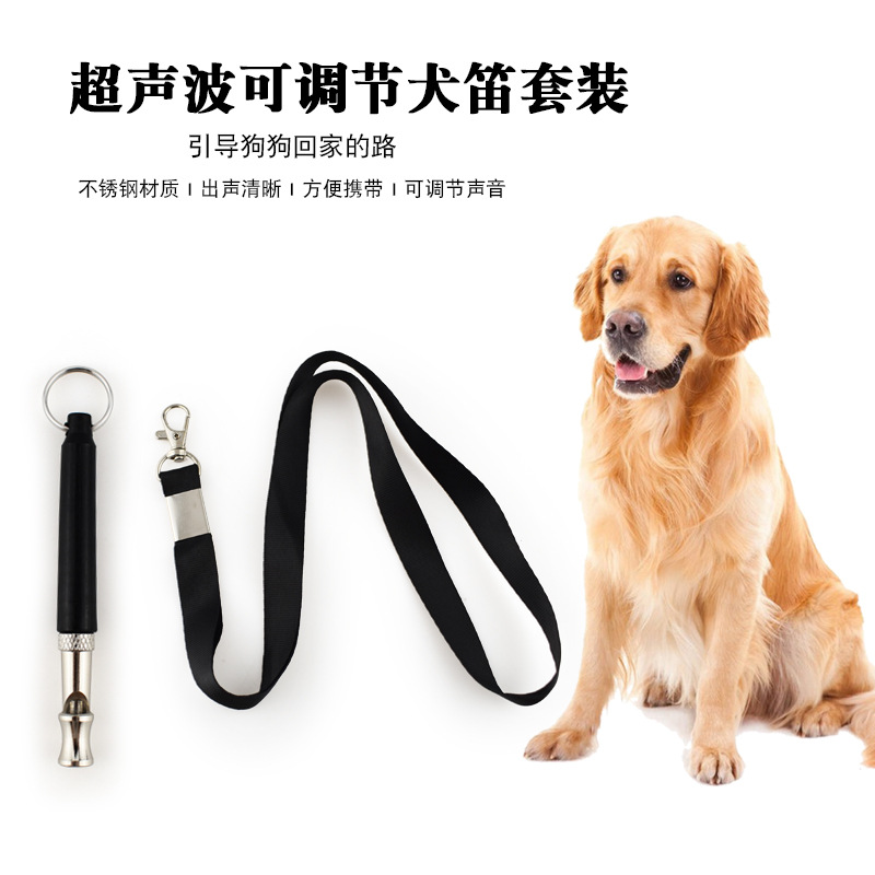 Pet Supplies Amazon - Amazon directly supplies pet training supplies,