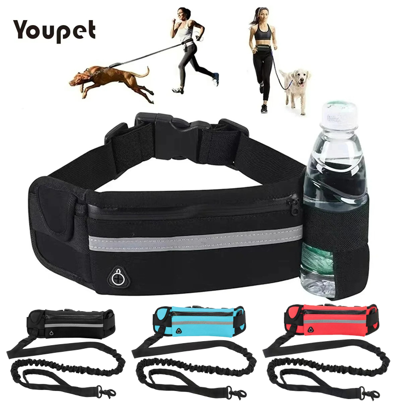 Retractable Dog Leash - Dog Running Waist Leash Nylon Pet