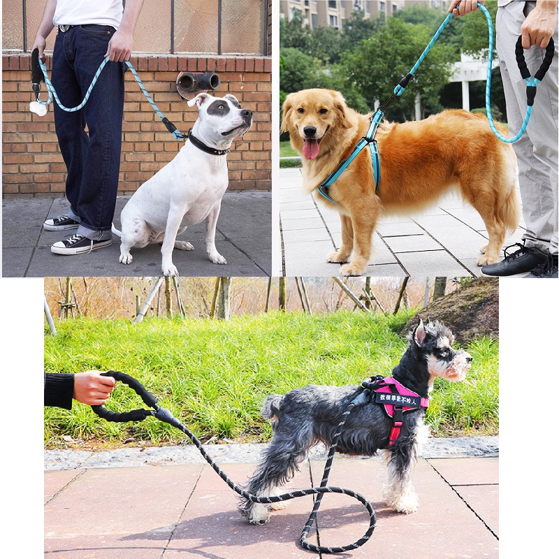 120/150/200/300CM Reflective D - Retractable Dog Leash บทวิจารณ์และราคา