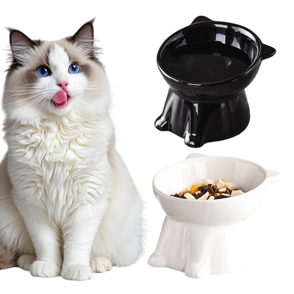 Black Cat Bowl Amazon Plastic  - Pet Supplies Amazon บทวิจารณ์และราคา