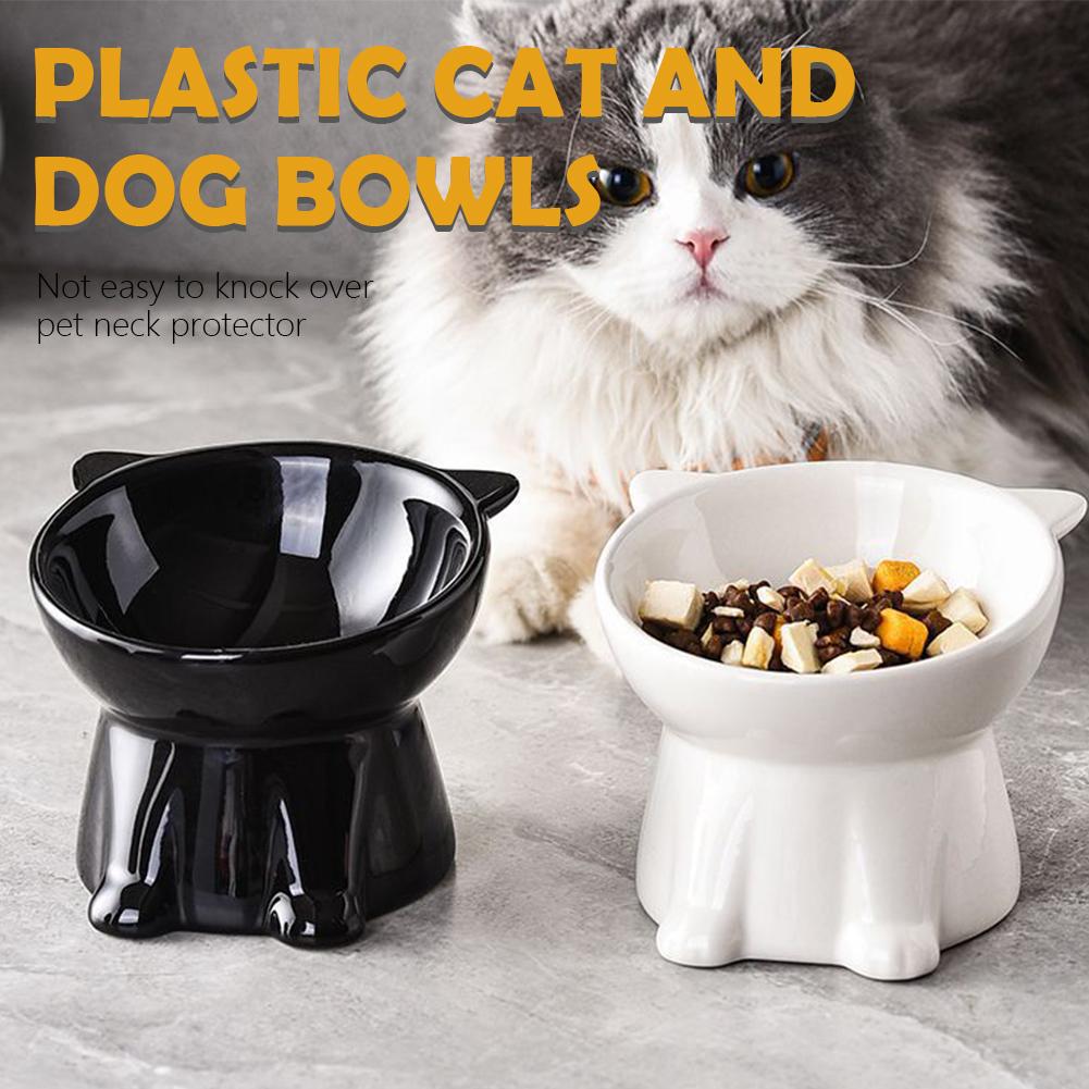 Black Cat Bowl Amazon Plastic  - Pet Supplies Amazon บทวิจารณ์และราคา