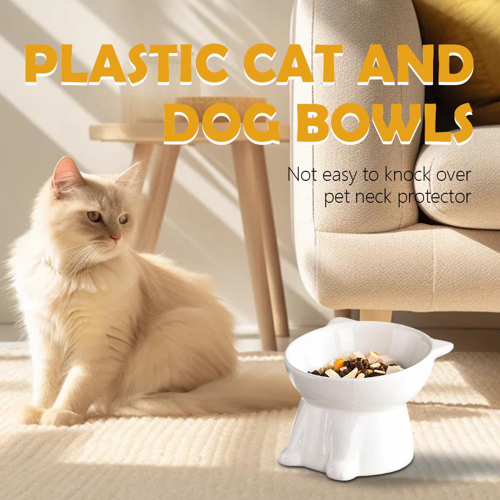Black Cat Bowl Amazon Plastic  - Pet Supplies Amazon บทวิจารณ์และราคา