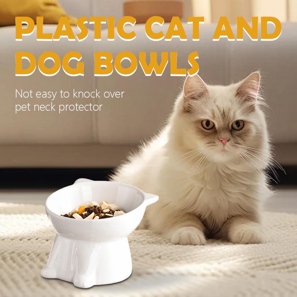 Black Cat Bowl Amazon Plastic  - Pet Supplies Amazon บทวิจารณ์และราคา