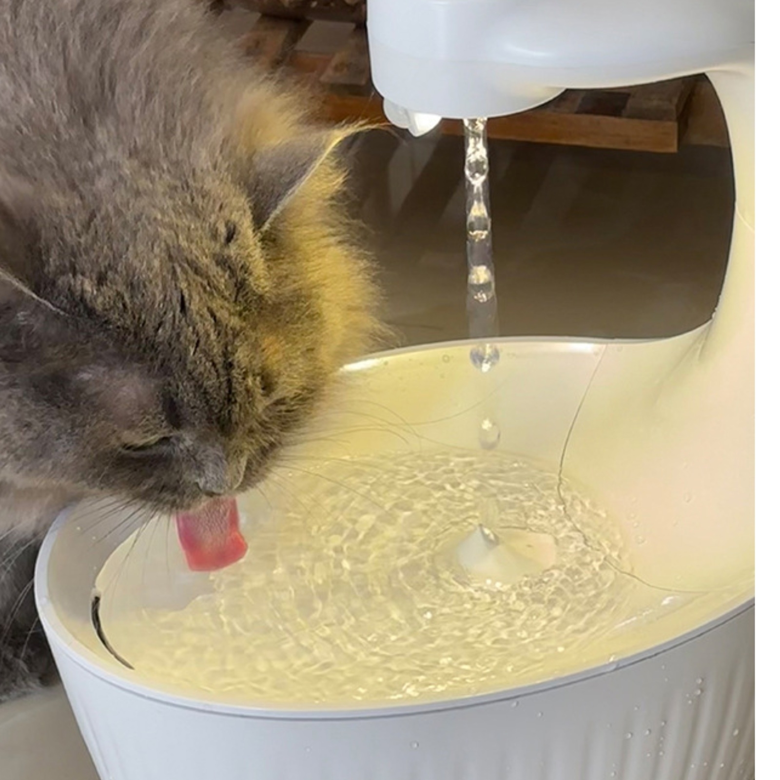 Wireless Feline Water Fountain - Pet Water Fountain บทวิจารณ์และราคา