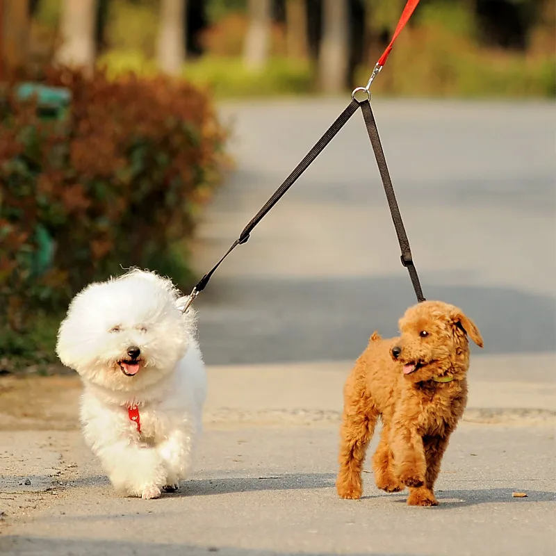 Outdoor Walking Two Dogs Leash - Retractable Dog Leash บทวิจารณ์และราคา