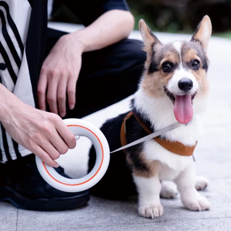 Moestar UFO 개폐식 가죽 끈 2 라이트 금속  - Retractable Dog Leash บทวิจารณ์และราคา
