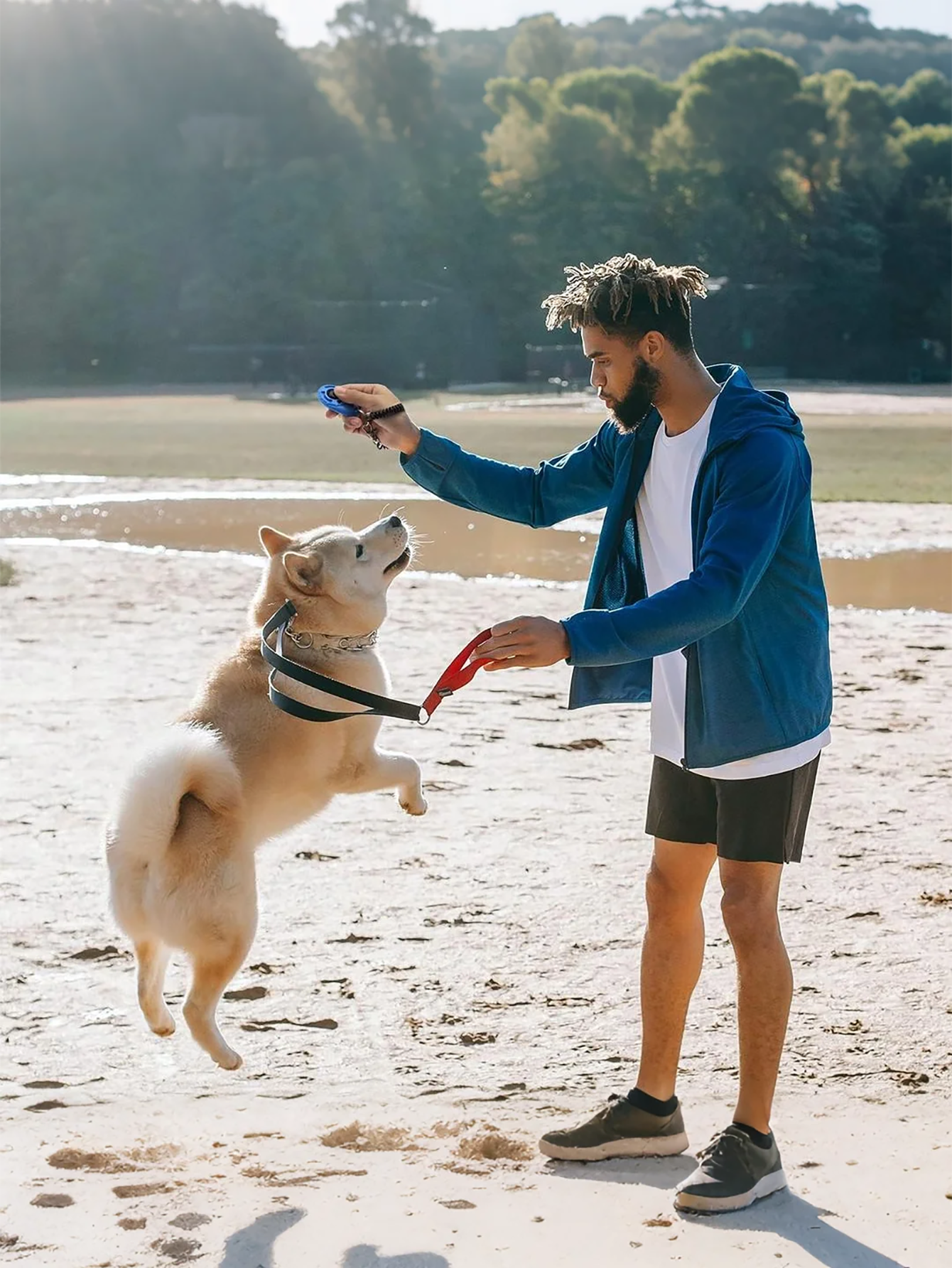Dog Training Clicker with Wris - Retractable Dog Leash บทวิจารณ์และราคา