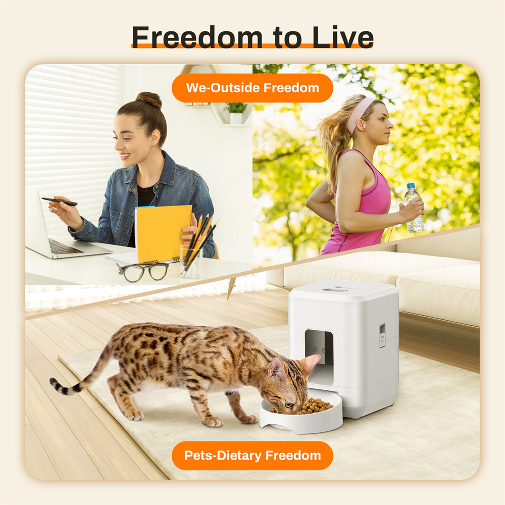 New Automatic Pet Feeder WiFi  - Pet Supplies Distributors In Usa บทวิจารณ์และราคา