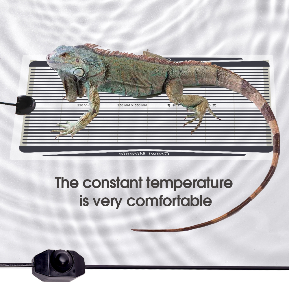 Indoor Warm Heating Mat Adjust - Reptile Heating Mat บทวิจารณ์และราคา