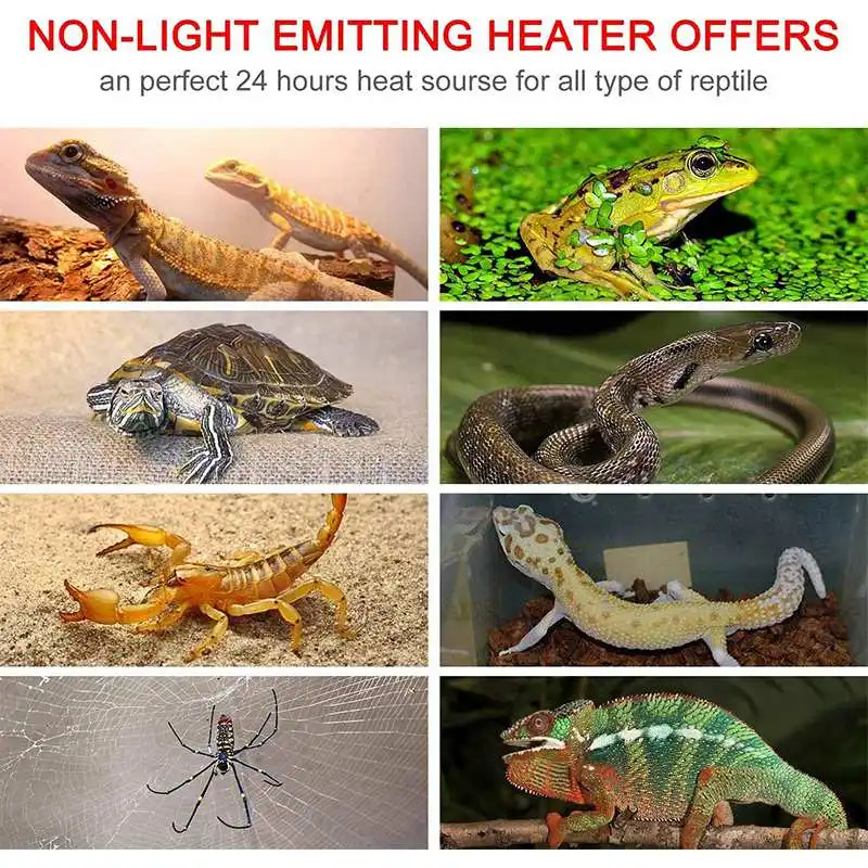 5W-20W 110V Heating Warm Pad f - Reptile Heating Mat บทวิจารณ์และราคา