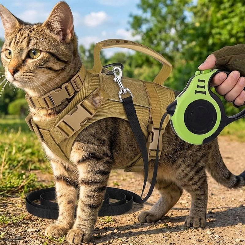 Breathable Tactical Pet Harnes - Retractable Dog Leash บทวิจารณ์และราคา