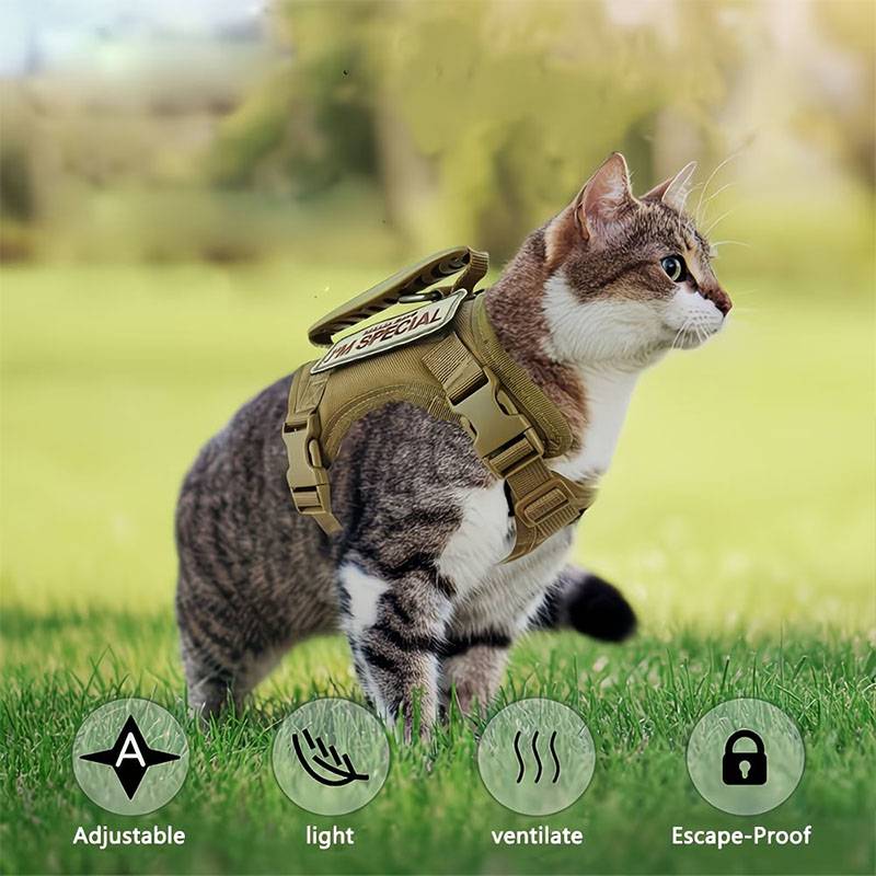 Breathable Tactical Pet Harnes - Retractable Dog Leash บทวิจารณ์และราคา
