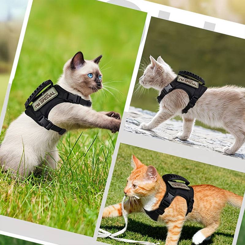 Breathable Tactical Pet Harnes - Retractable Dog Leash บทวิจารณ์และราคา