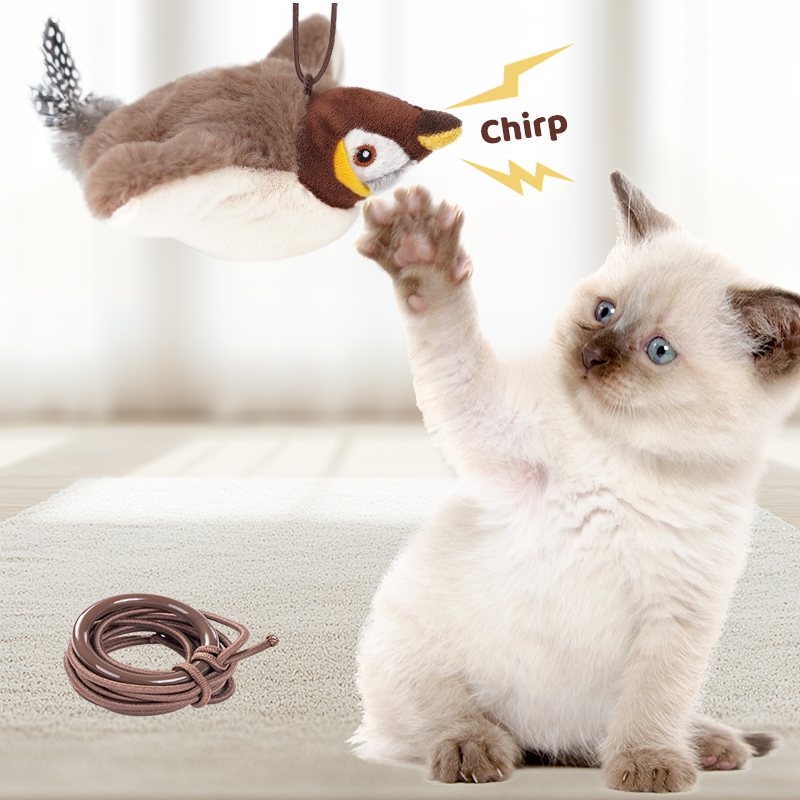1PC Interactive Cat Toys Recha - Catnip Toys บทวิจารณ์และราคา