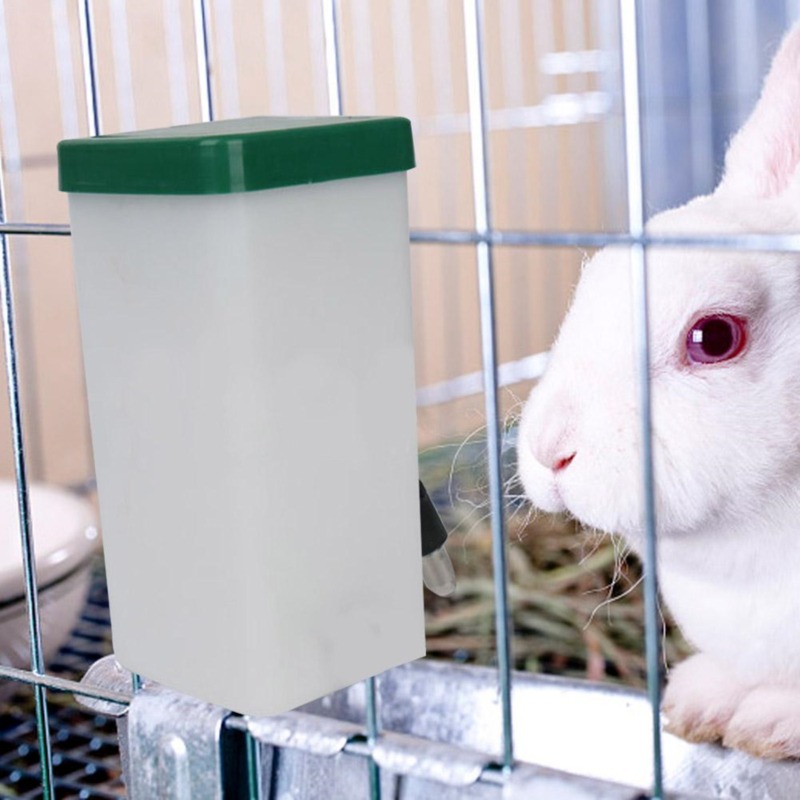 Pet Drinker Water Bottle Dispe - Pet Water Fountain บทวิจารณ์และราคา