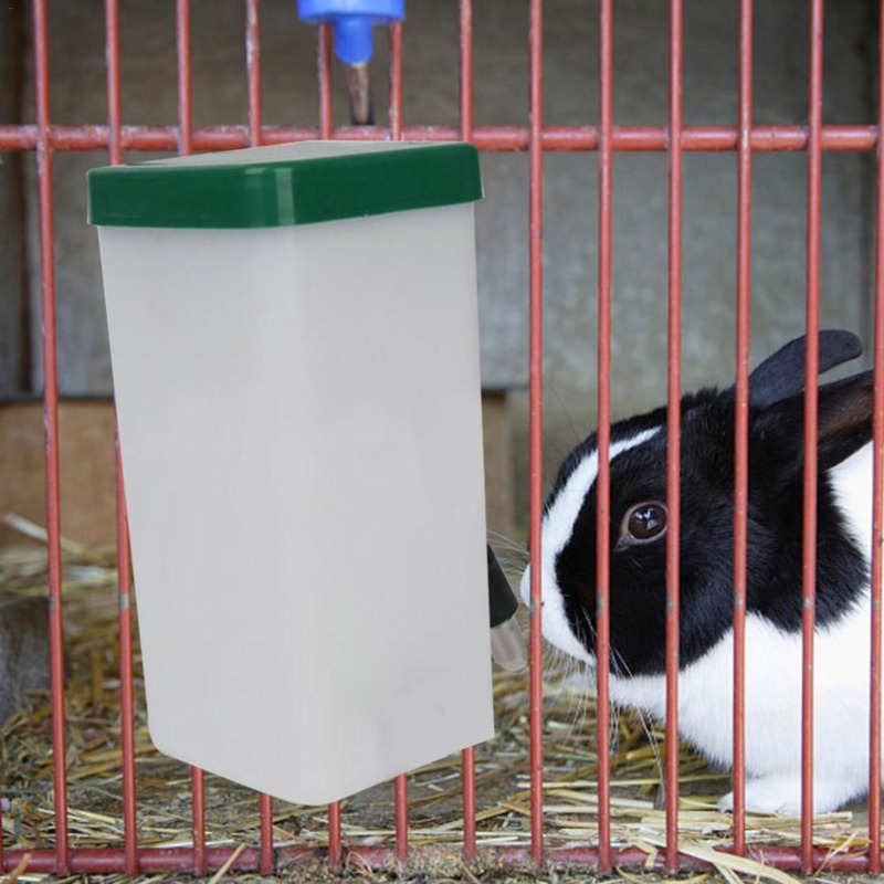 Pet Drinker Water Bottle Dispe - Pet Water Fountain บทวิจารณ์และราคา