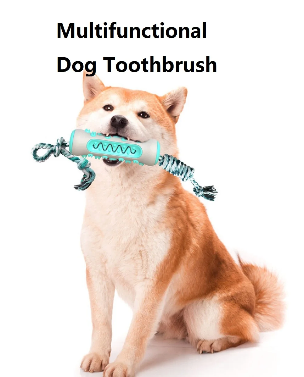 Pet Supplies Amazon Pop Dog To - Pet Supplies Amazon บทวิจารณ์และราคา