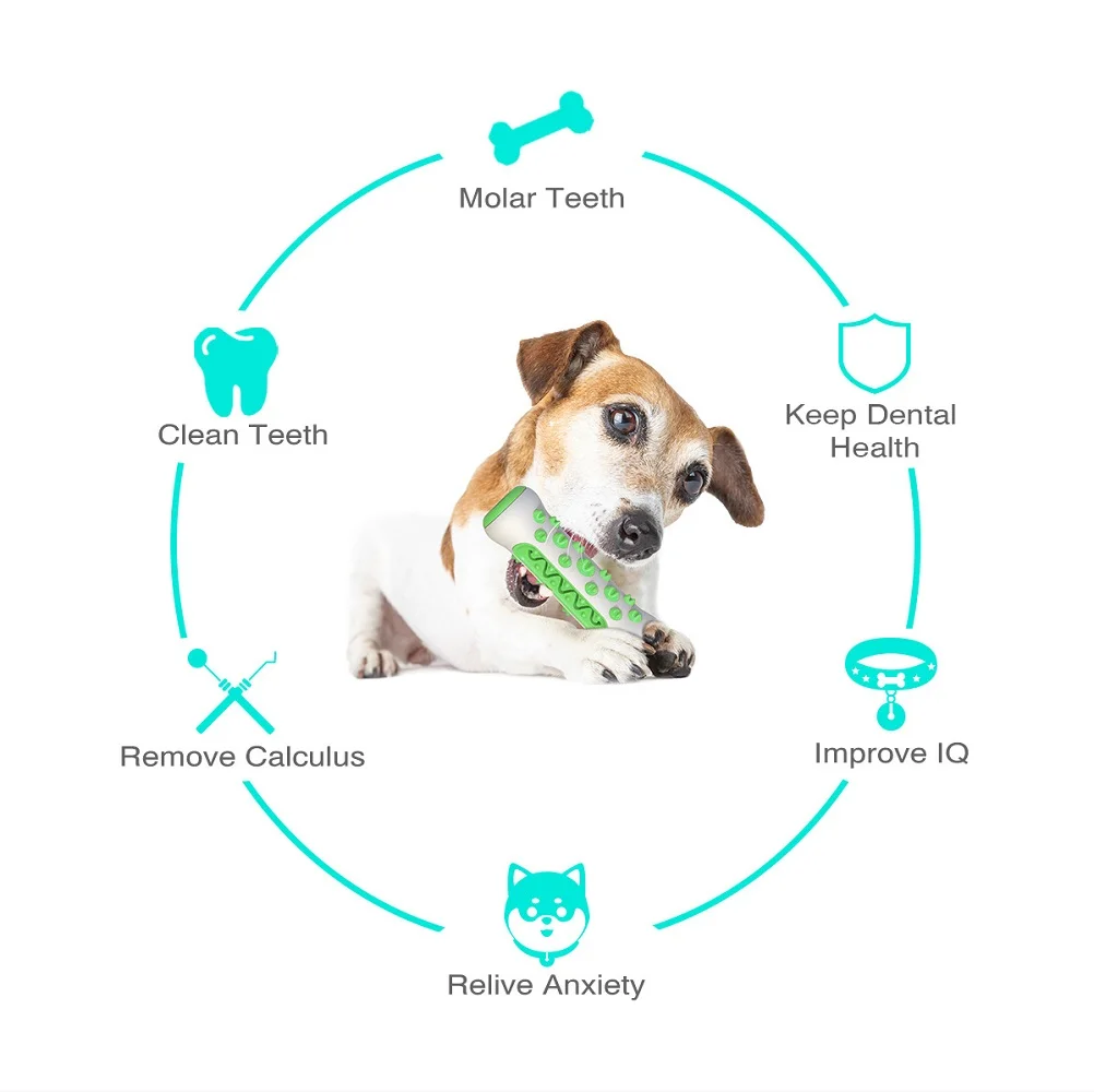 Pet Supplies Amazon Pop Dog To - Pet Supplies Amazon บทวิจารณ์และราคา
