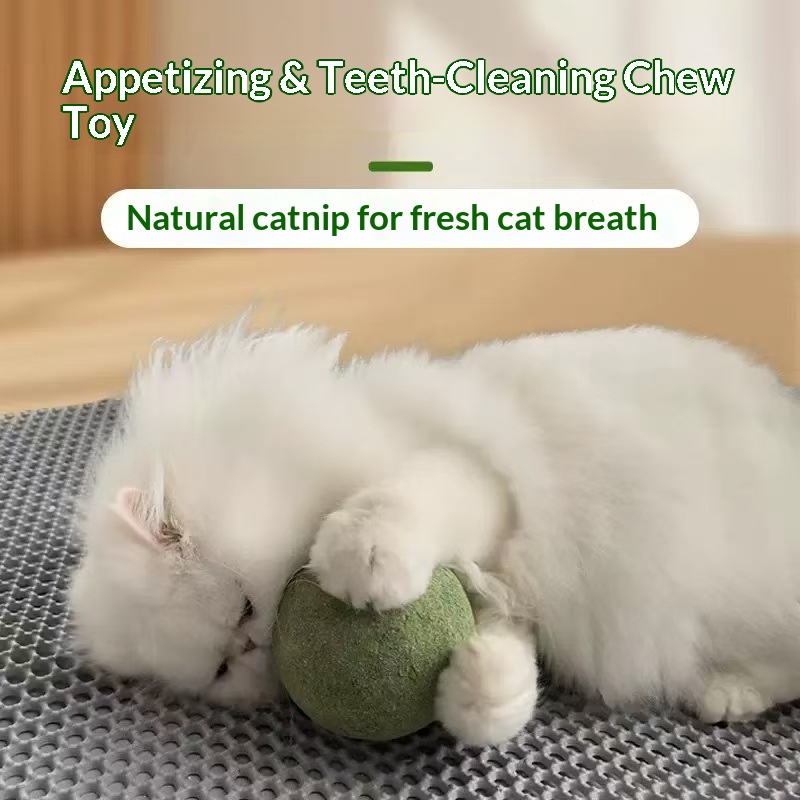 Catnip Ball Extra Large Cat To - Catnip Toys บทวิจารณ์และราคา