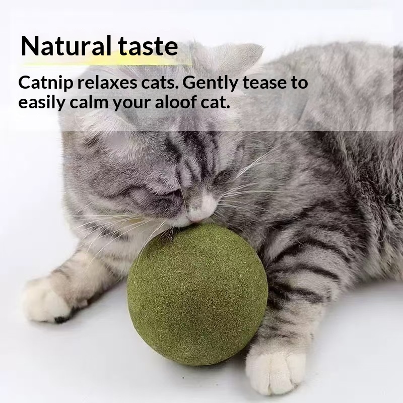 Catnip Ball Extra Large Cat To - Catnip Toys บทวิจารณ์และราคา