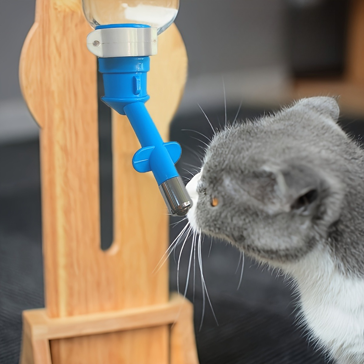 Ball-type Drinking Fountains P - Pet Water Fountain บทวิจารณ์และราคา