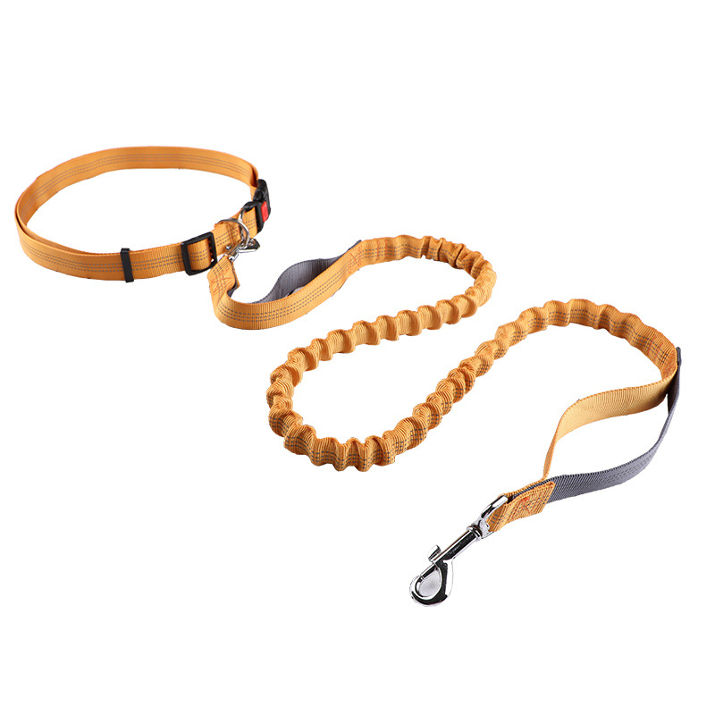 Pet leash Running leash, retra - Retractable Dog Leash บทวิจารณ์และราคา
