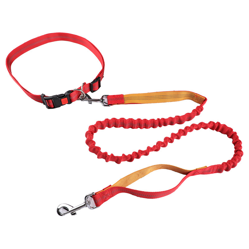 Pet leash Running leash, retra - Retractable Dog Leash บทวิจารณ์และราคา