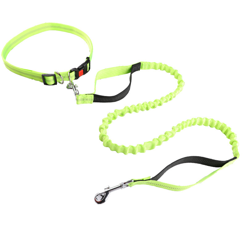 Pet leash Running leash, retra - Retractable Dog Leash บทวิจารณ์และราคา