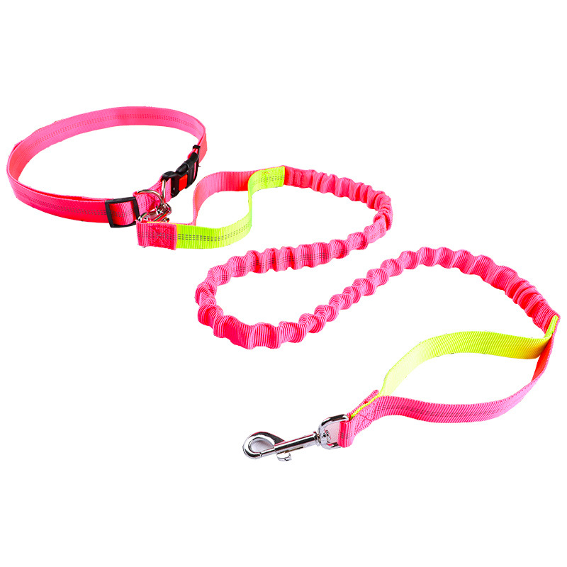Pet leash Running leash, retra - Retractable Dog Leash บทวิจารณ์และราคา