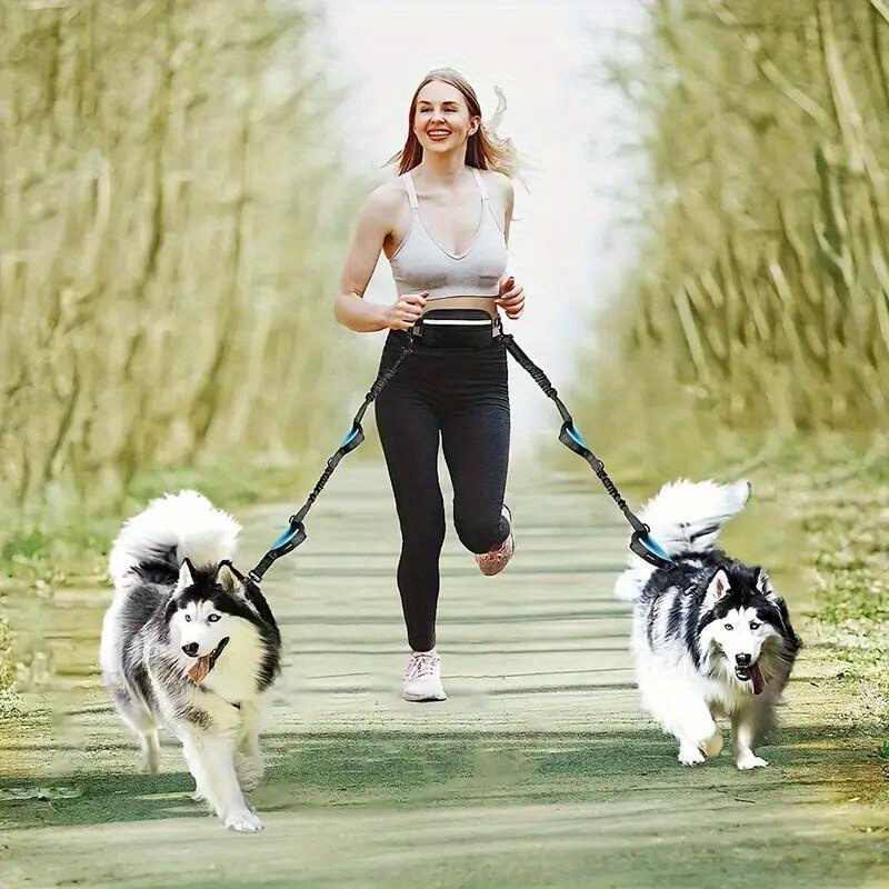 Adjustable Hands-Free Dog Runn - Retractable Dog Leash บทวิจารณ์และราคา