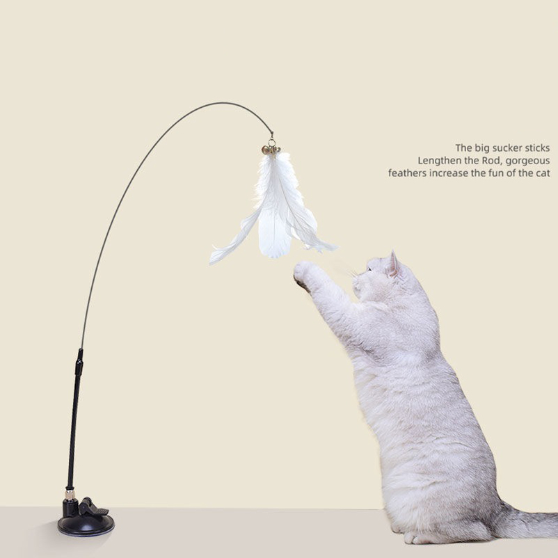 New powerful suction cat-teasi - Pet Supplies Amazon บทวิจารณ์และราคา