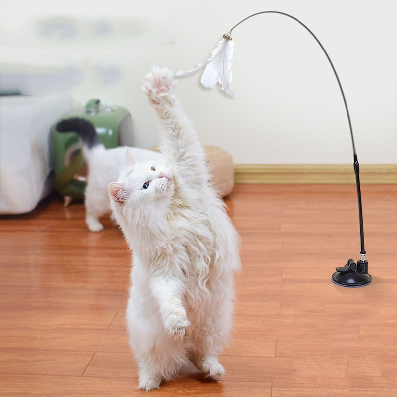 New powerful suction cat-teasi - Pet Supplies Amazon บทวิจารณ์และราคา