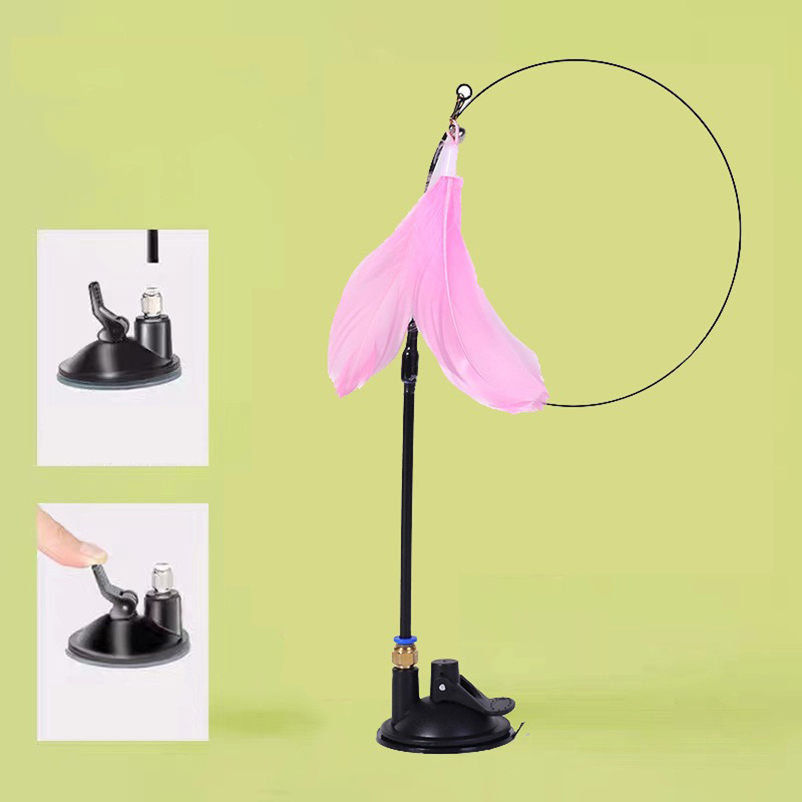 New powerful suction cat-teasi - Pet Supplies Amazon บทวิจารณ์และราคา