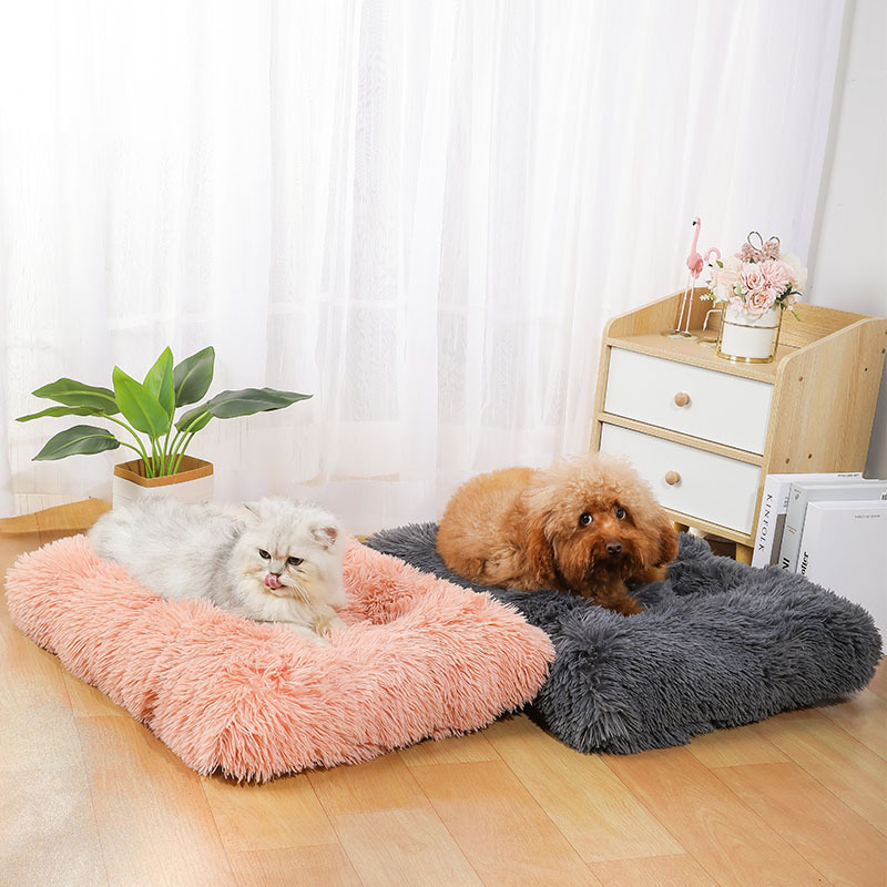 Supplies Mat Amazon Comfortabl - Pet Supplies Amazon บทวิจารณ์และราคา