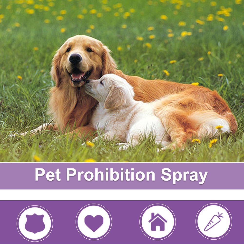 50ml Pet Calming Spray Prevent - Pet Supplies Vending Machine บทวิจารณ์และราคา