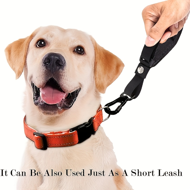 Pet Anti-Fall Wristband,Retrac - Retractable Dog Leash บทวิจารณ์และราคา
