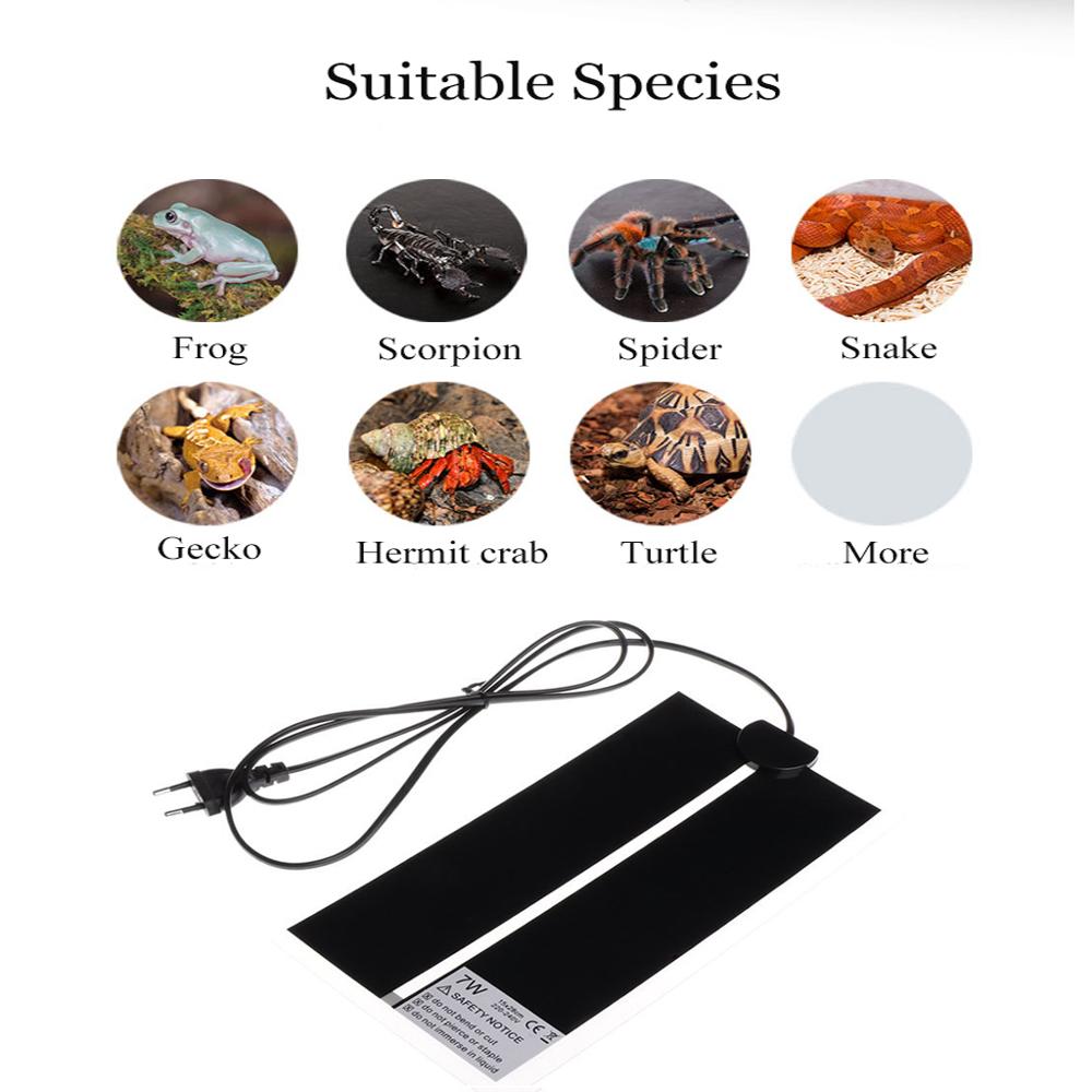 AC110V~240V Reptiles Incubator - Reptile Heating Mat บทวิจารณ์และราคา