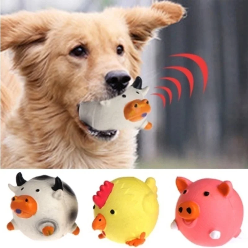 Pet Supplies Amazon Hot sellin - Pet Supplies Amazon บทวิจารณ์และราคา
