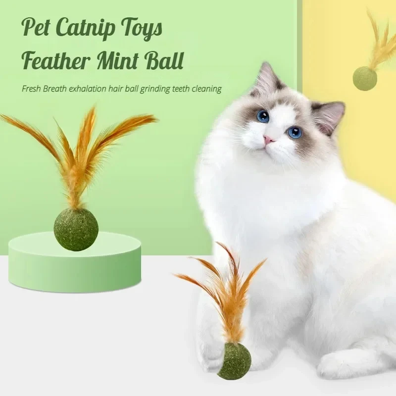 Pet Catnip Toys Edible Catnip  - Catnip Toys บทวิจารณ์และราคา