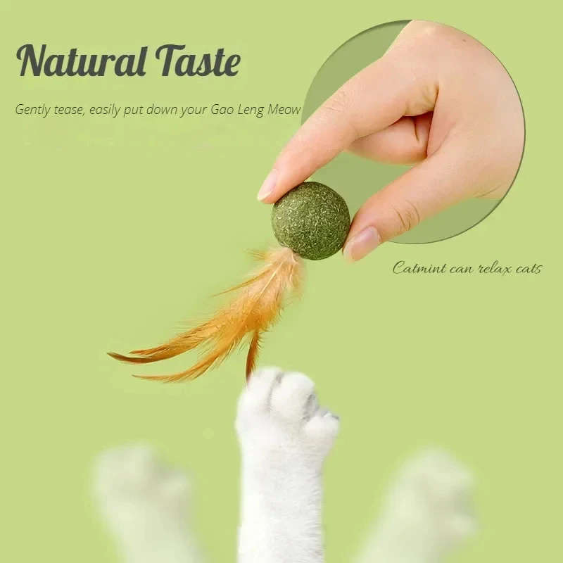 Pet Catnip Toys Edible Catnip  - Catnip Toys บทวิจารณ์และราคา