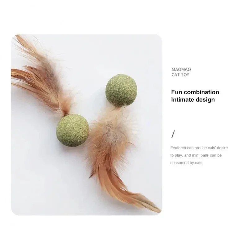 Pet Catnip Toys Edible Catnip  - Catnip Toys บทวิจารณ์และราคา