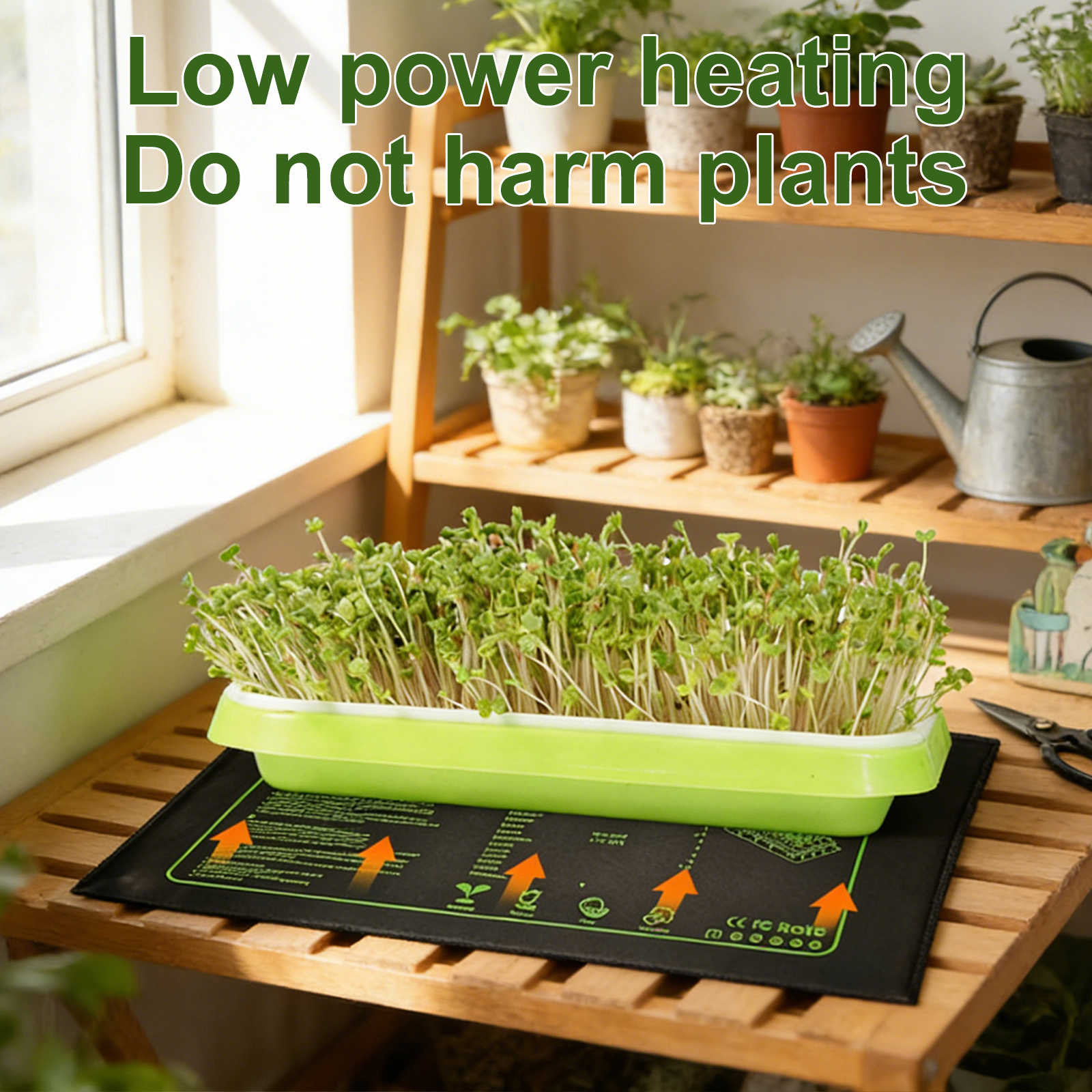 20W Seedling Heating Mat Plant - Reptile Heating Mat บทวิจารณ์และราคา