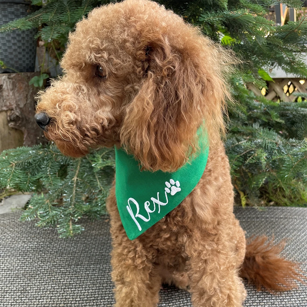 Personalized name Dog Christma - Pet Supplies Vending Machine บทวิจารณ์และราคา