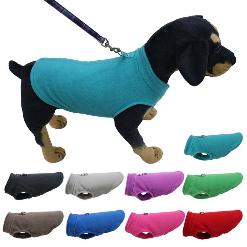 Europe, America, Amazon pet cl - Pet Supplies Amazon บทวิจารณ์และราคา