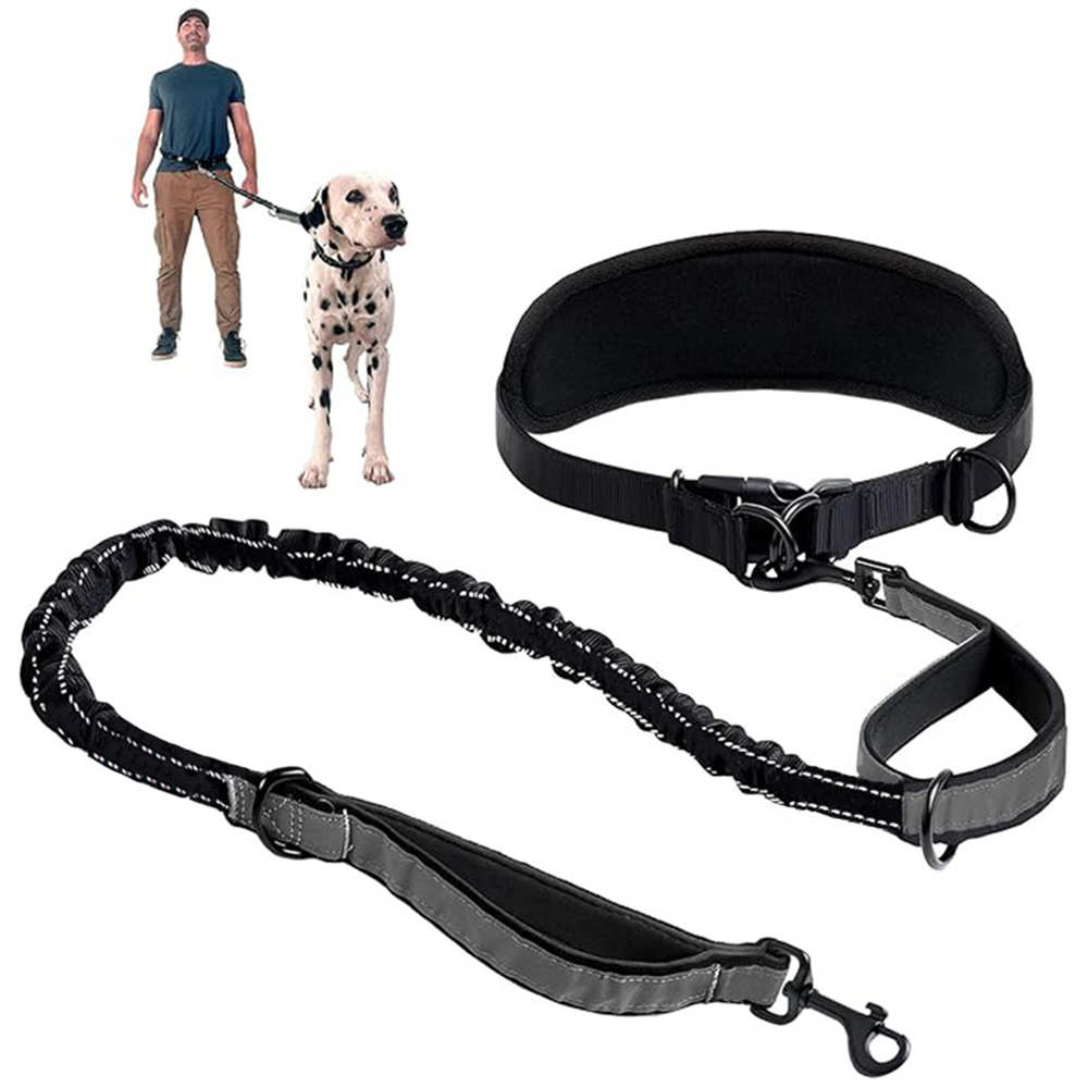 Hands Free Dog Leash Dog Waist - Retractable Dog Leash บทวิจารณ์และราคา