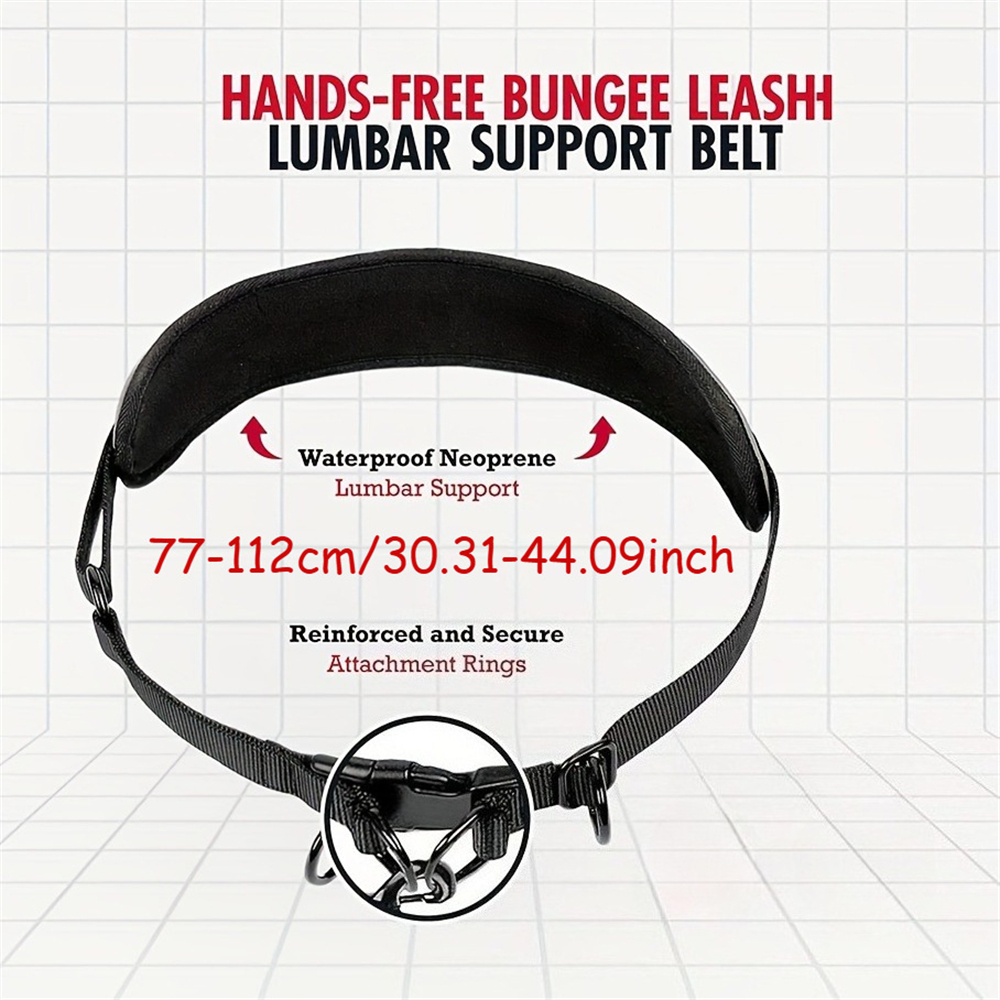 Hands Free Dog Leash Dog Waist - Retractable Dog Leash บทวิจารณ์และราคา