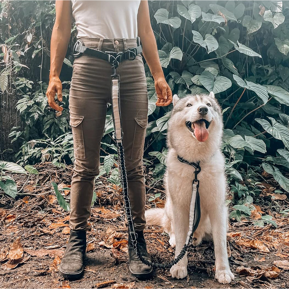 Hands Free Dog Leash Dog Waist - Retractable Dog Leash บทวิจารณ์และราคา