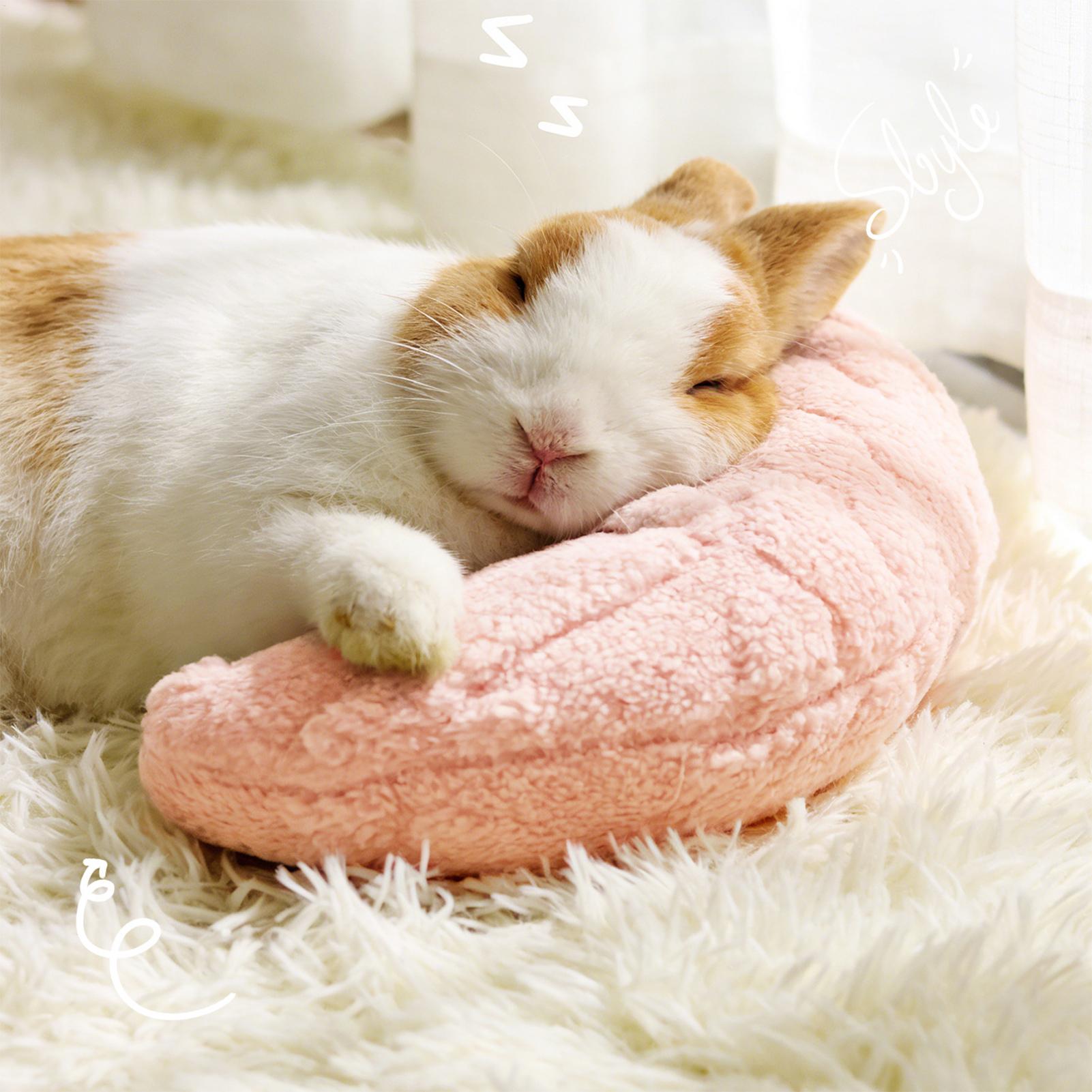 Pet Little Pillow Fashion Neck - Pet Supplies Vending Machine บทวิจารณ์และราคา